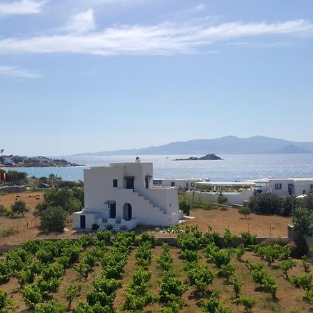 Matina Naxos - Mikri Vigla Guest House Rom bilde