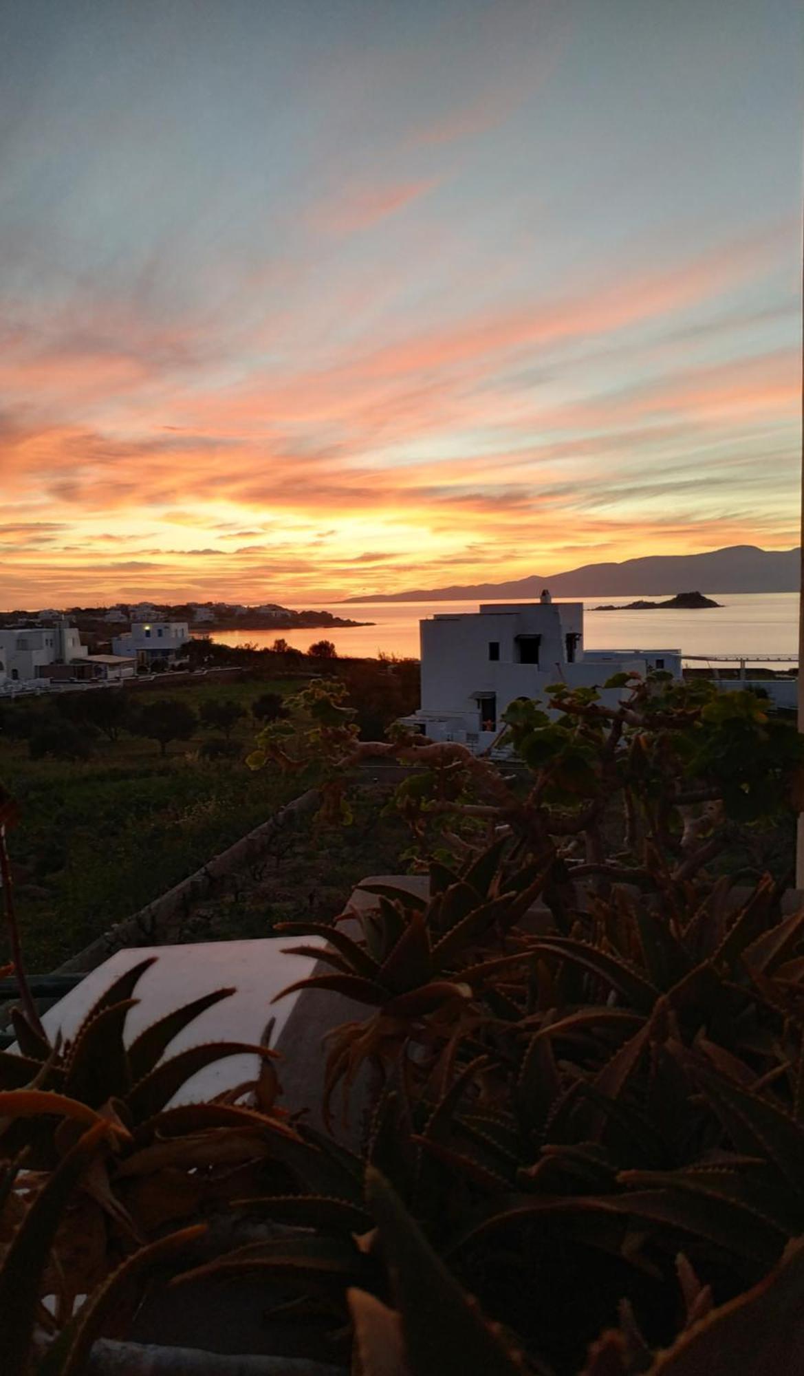 Matina Naxos - Mikri Vigla Guest House Rom bilde