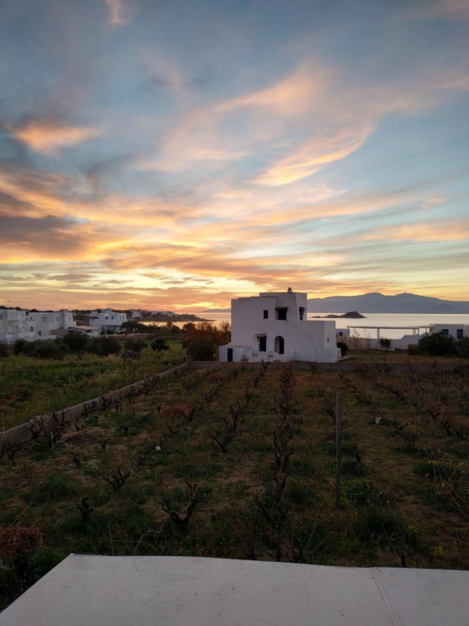 Matina Naxos - Mikri Vigla Guest House Rom bilde