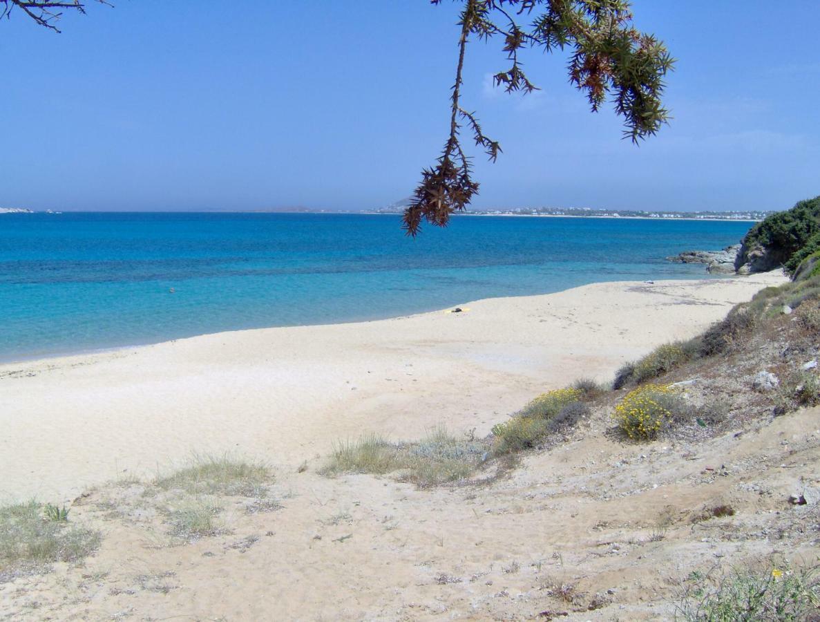 Matina Naxos - Mikri Vigla Guest House Eksteriør bilde